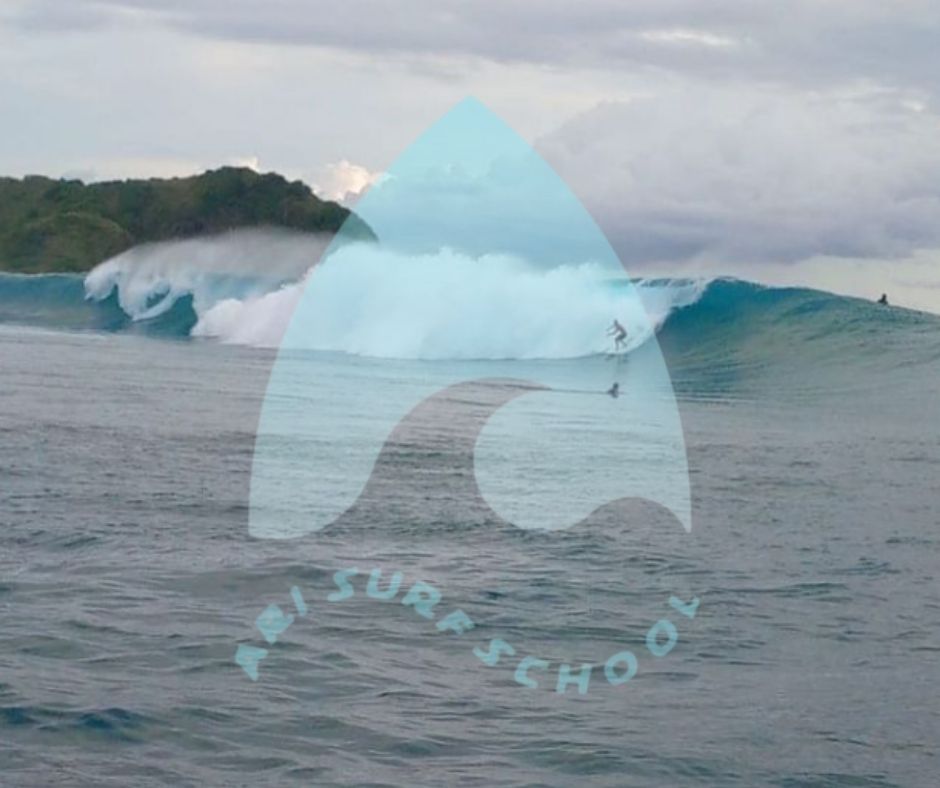 Gallery Ari Surf School